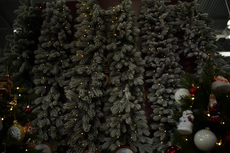 DSC00295